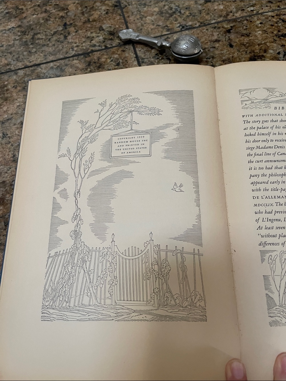 Candide book - Picture 3 of 5